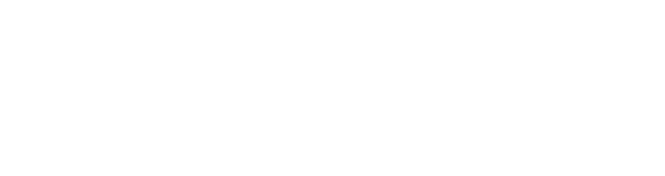 WP Engine Hosting Partner
